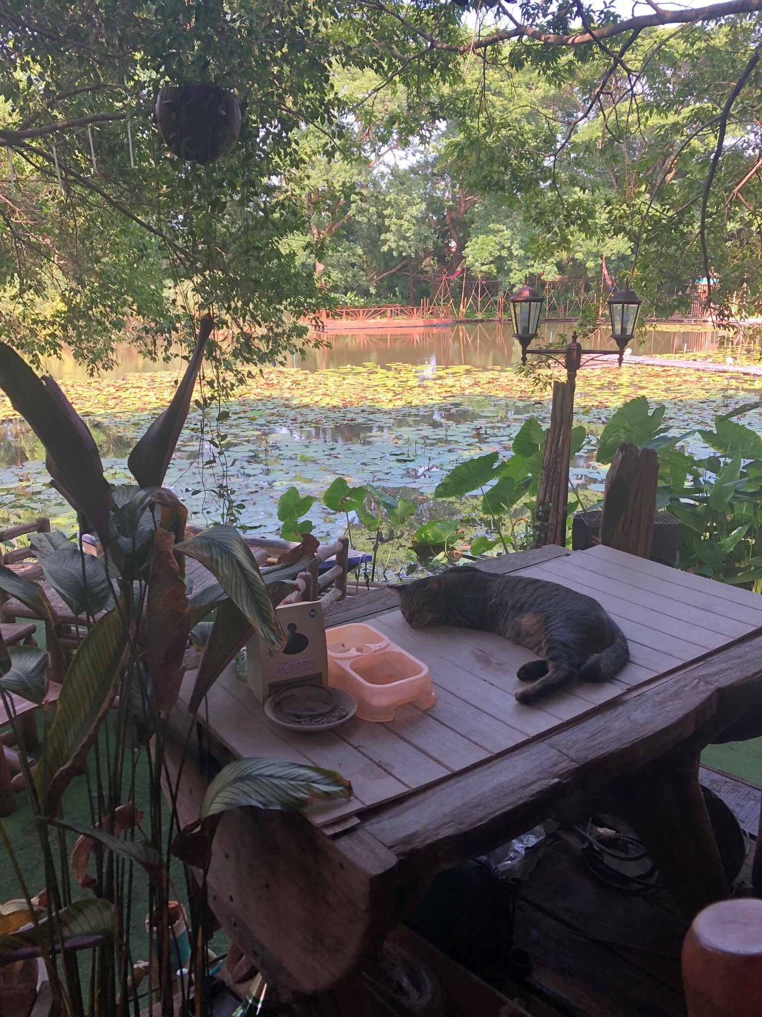 萨卡威度假酒店-官方