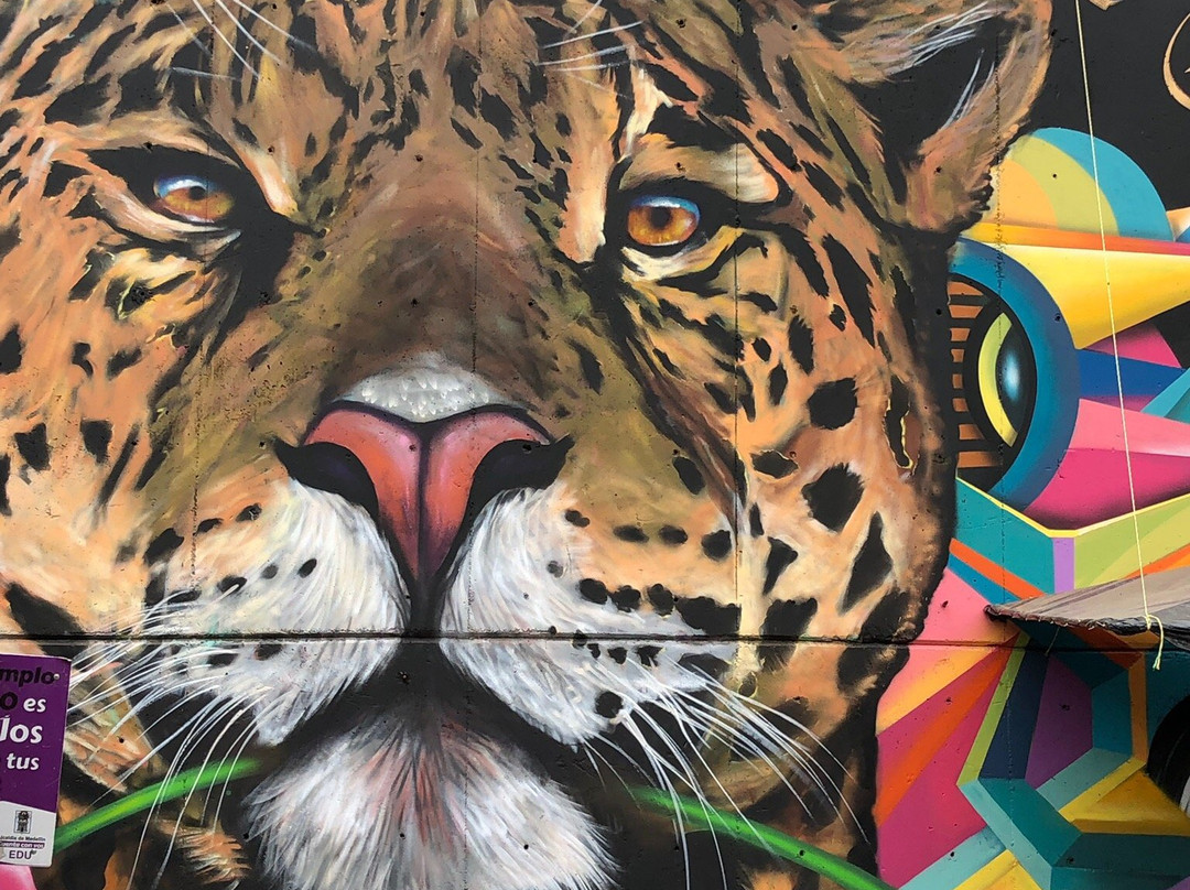 City Vibes Tours-麦德林必去景点