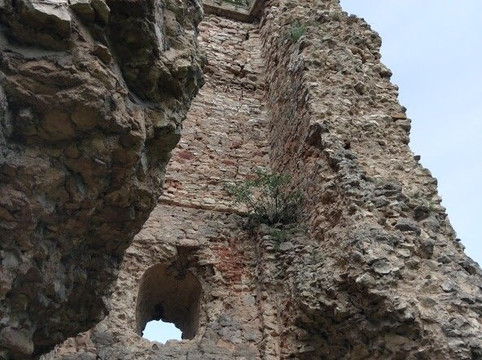 Cetatea Almasului