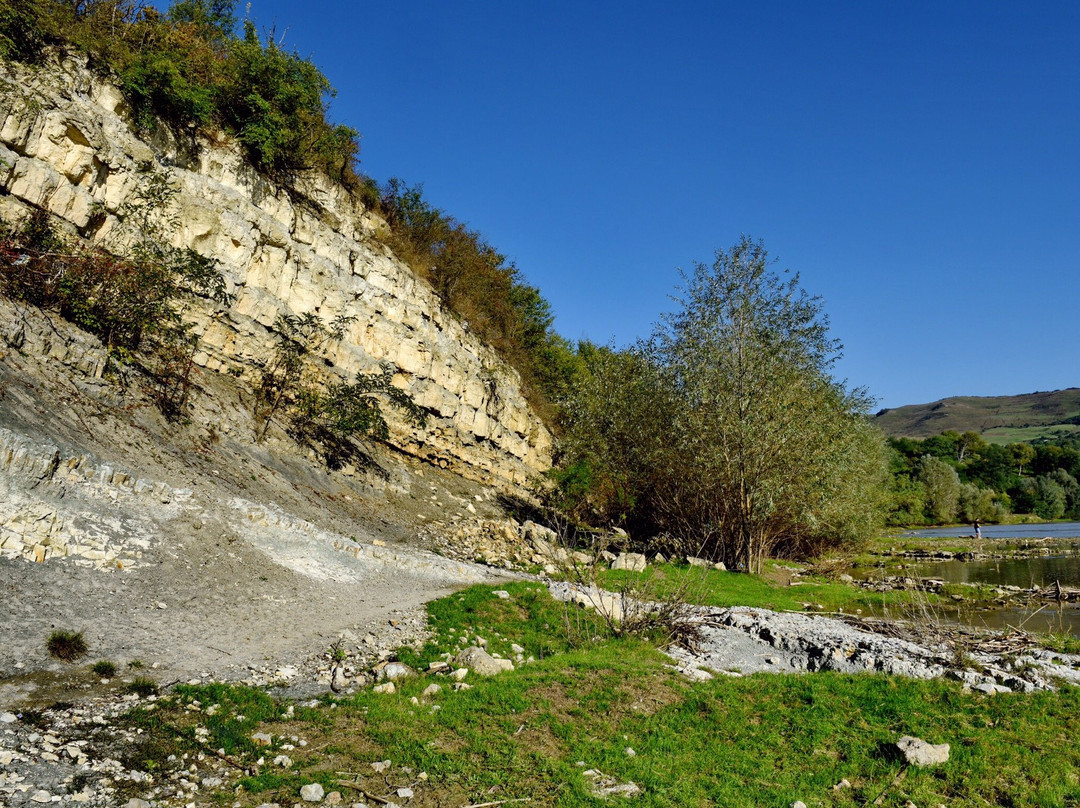 Calcarele de Rona景点图片