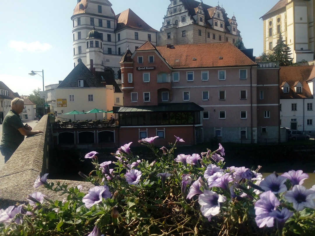 Pfalz-Neuburger Residenzschloss景点图片