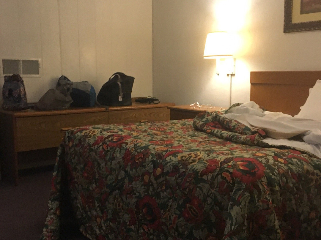 The Golden Inn主图