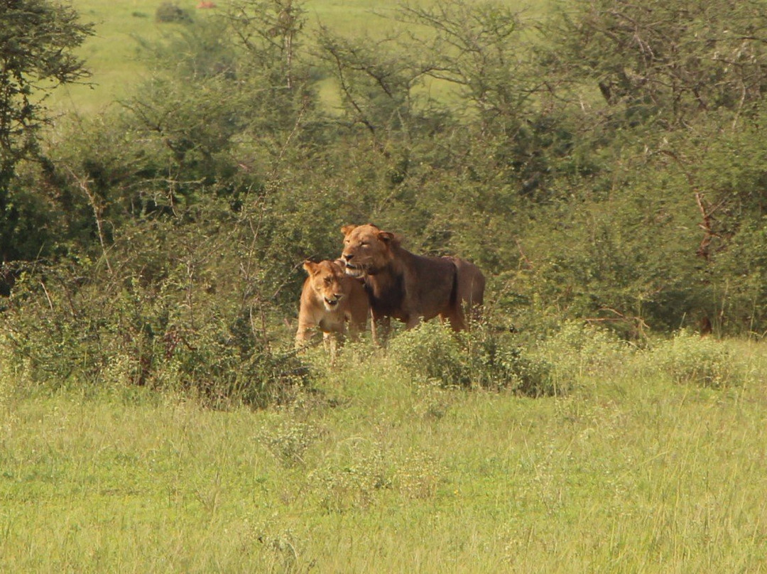 Forest Tours and Safaris-Fort Portal必去景点