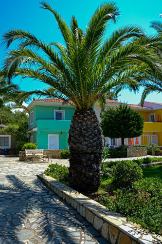 San Lorenzo Village主图