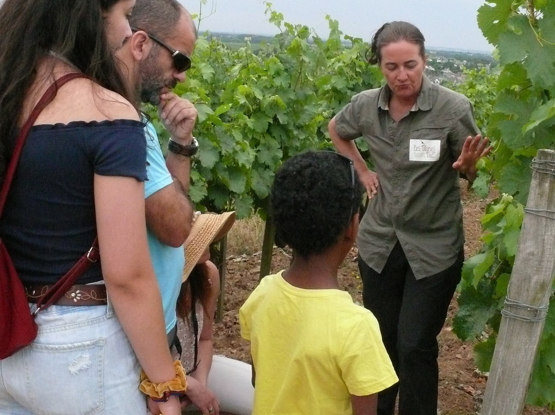 Les Vignes Selon Val景点图片