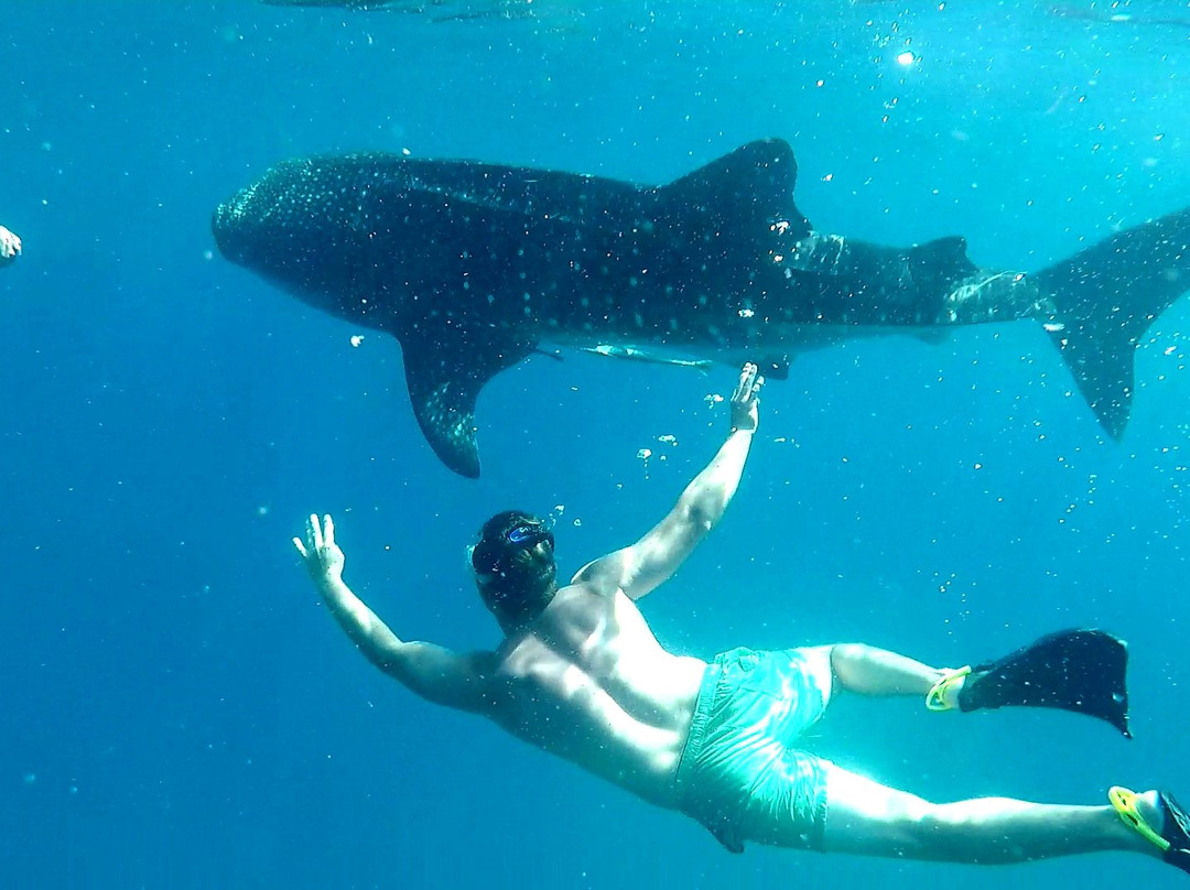 Aquaholics Barra Scuba & Activities-Praia da Barra必去景点