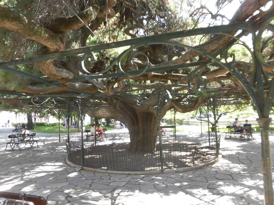 Praca do Principe Real-里斯本必去景点