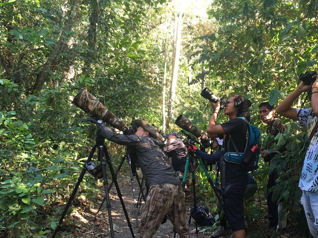 Private Wildlife Tour in Tangkoko景点图片