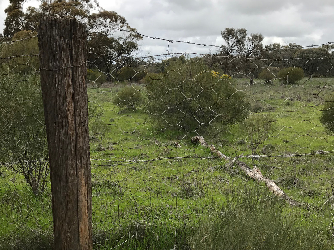 Dog Netting Fence Monument-Culgoa必去景点