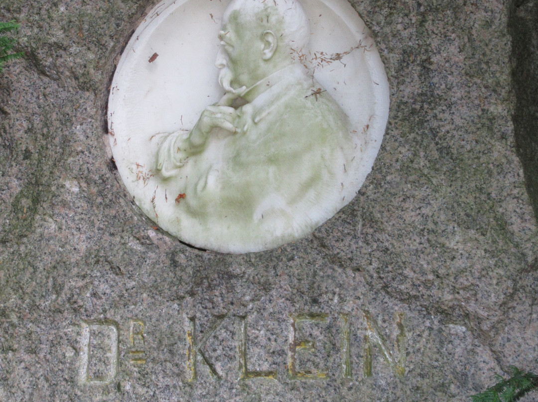 Docteur Martin Klein
