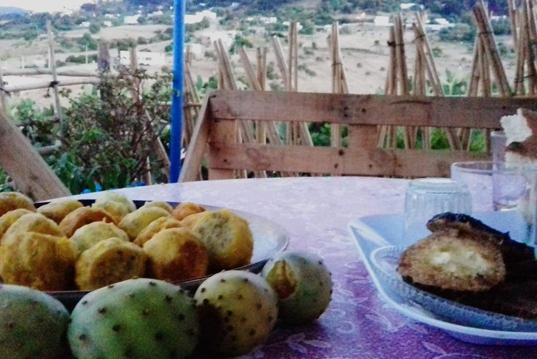 MELLOU TOUR Cooperative