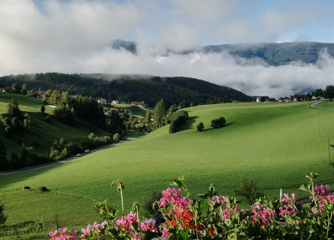 Pension Alpeggerhof主图