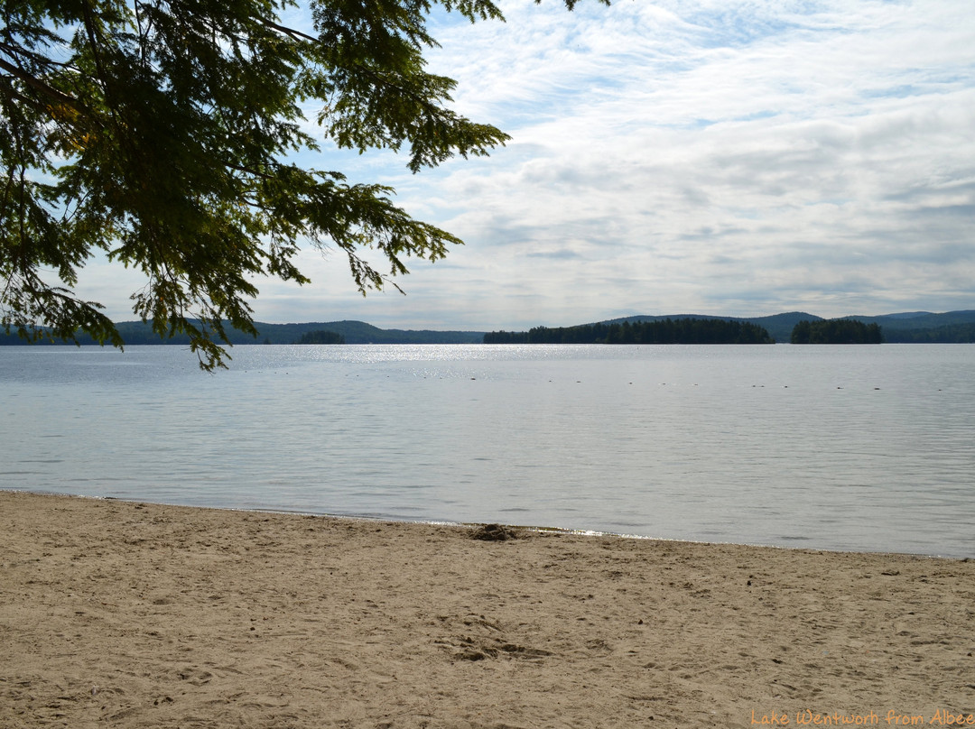 Allen Albee Beach-沃尔夫伯勒必去景点