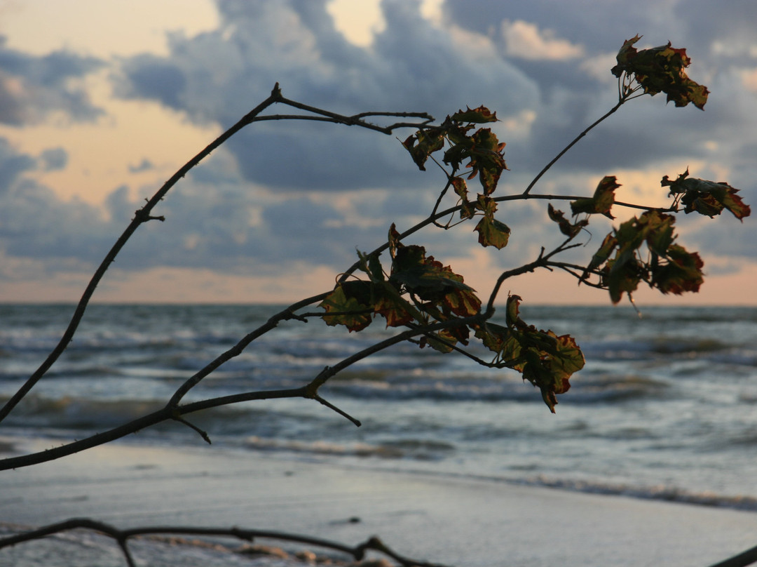 Liedags Guesthouse主图