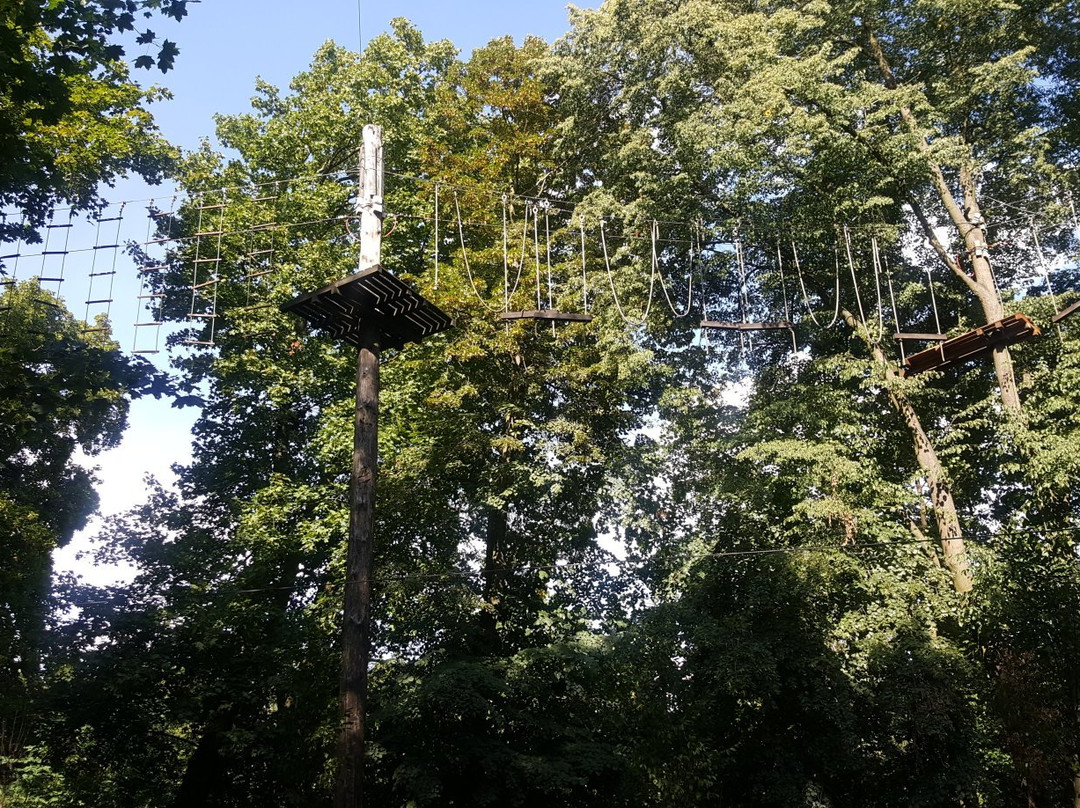 Cascader Rope Course Park景点图片