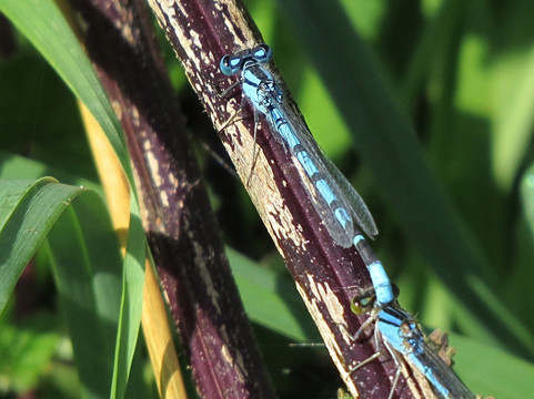 Deeping Lakes-Deeping St James必去景点