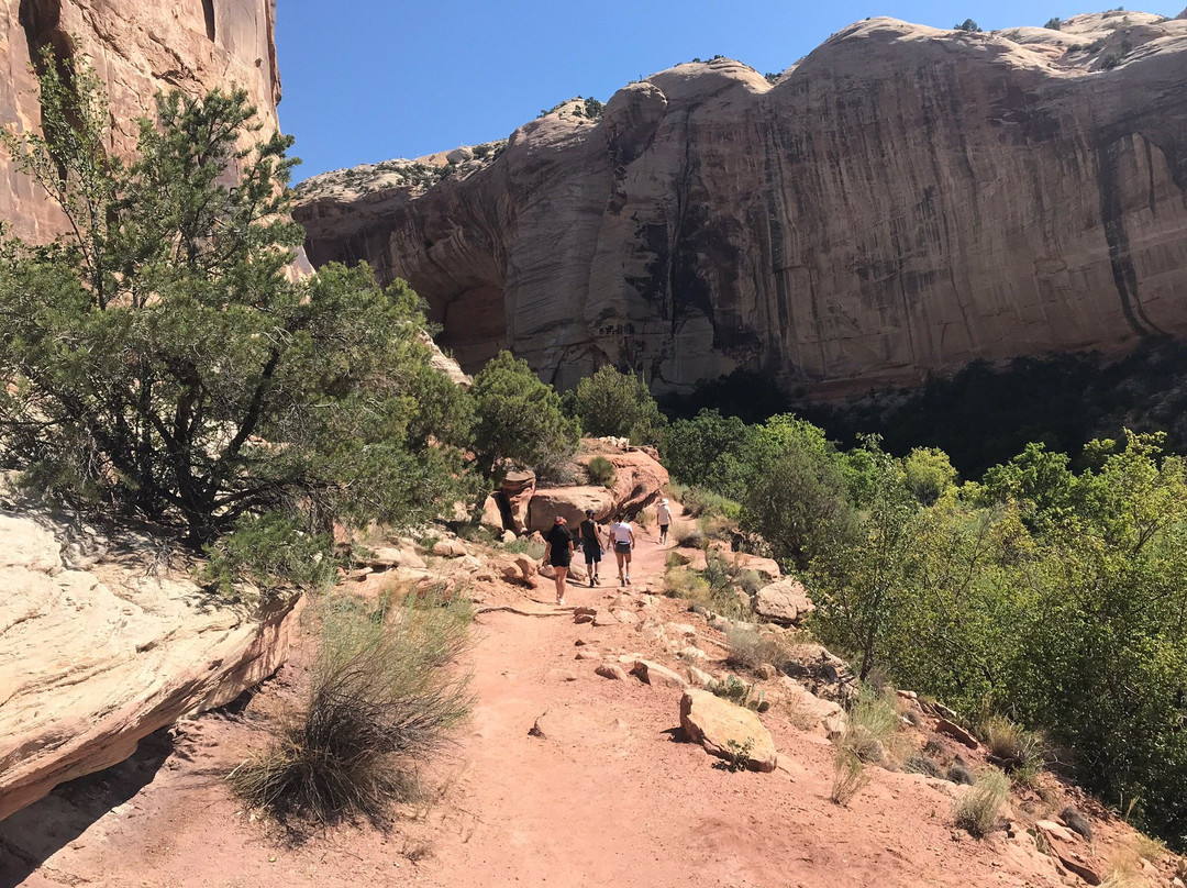Upper Calf Creek Falls-Boulder必去景点