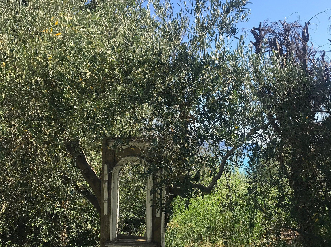 Oceanview Beach Hotel主图