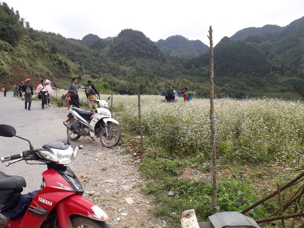 Trekking Ha Giang-Dong Van必去景点
