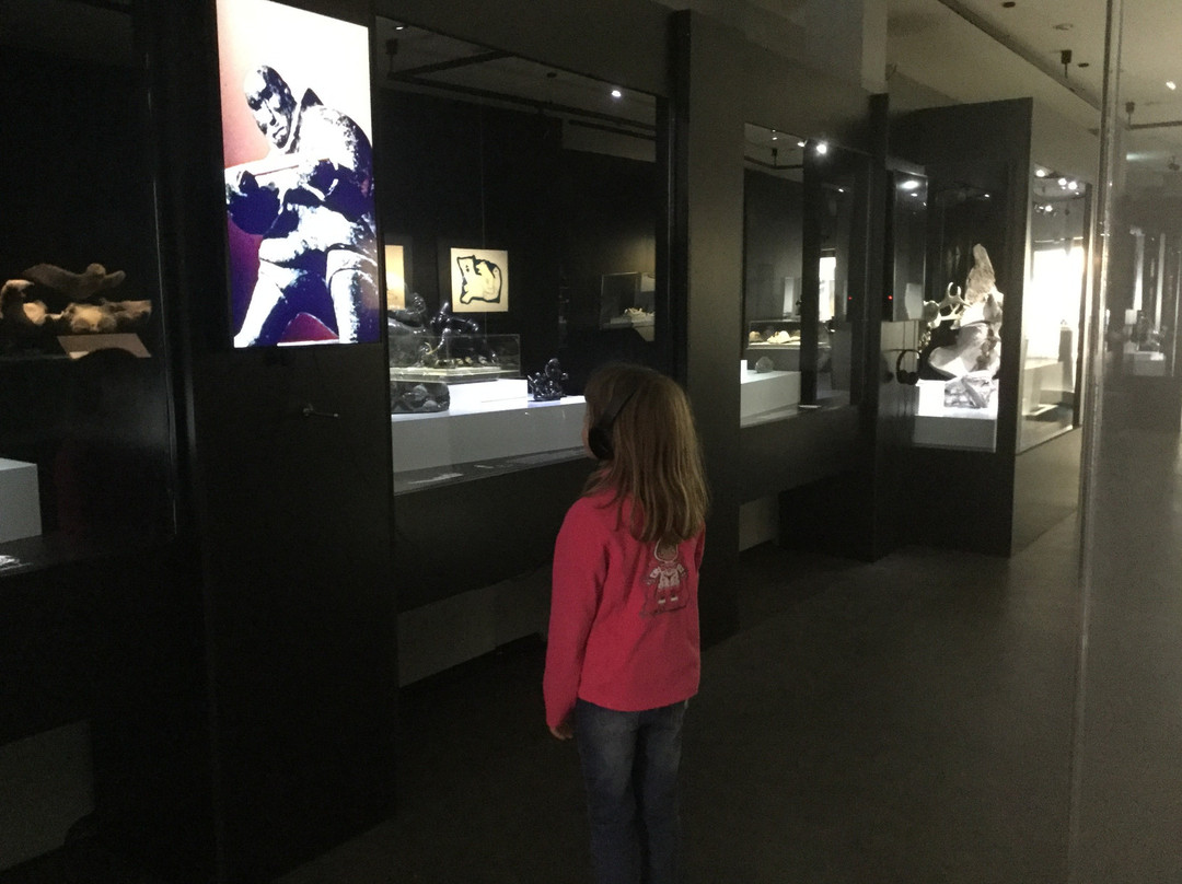 Art'Collections Museum景点图片