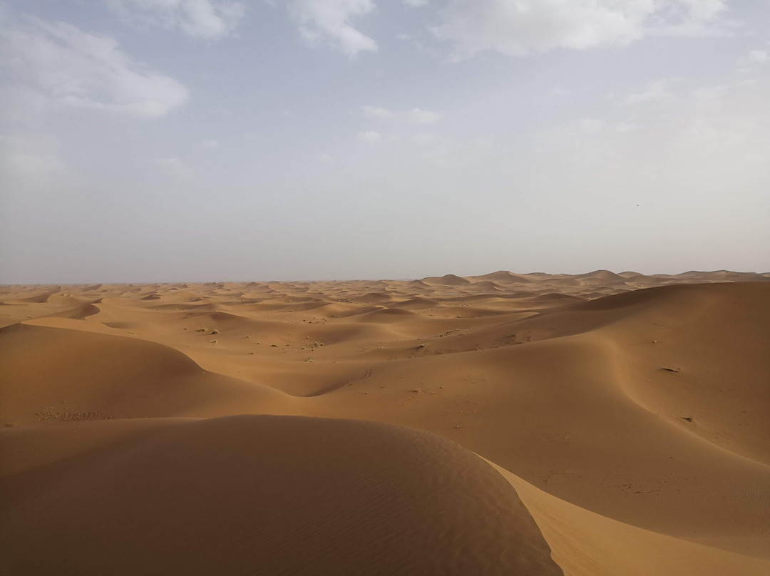 Caravane Cimes et Dunes-扎古拉必去景点