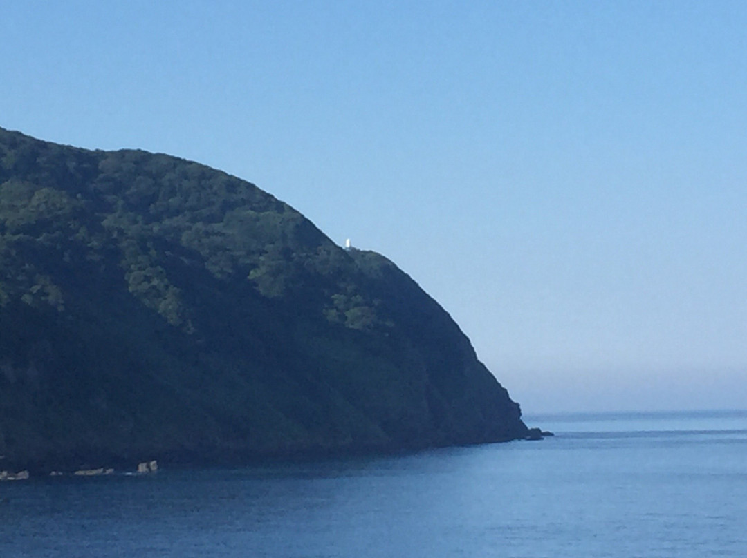 Saruyama Misaki Lighthouse景点图片