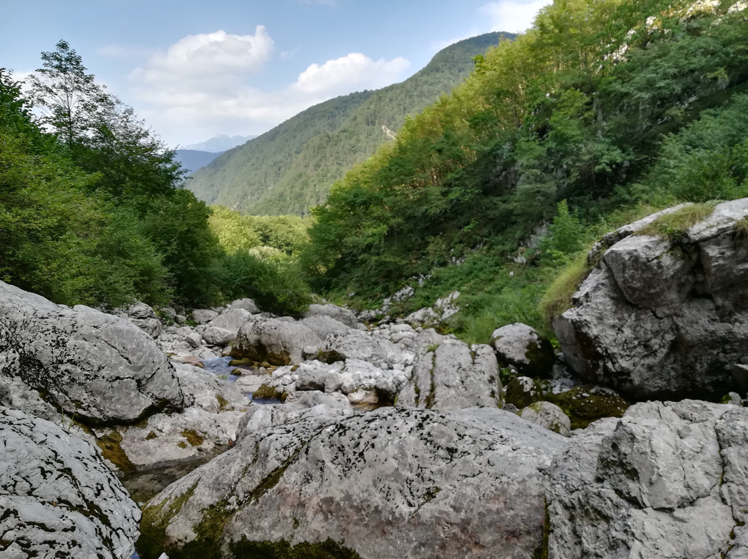 Parco Naturale Regionale delle Prealpi Giulie-Resia必去景点