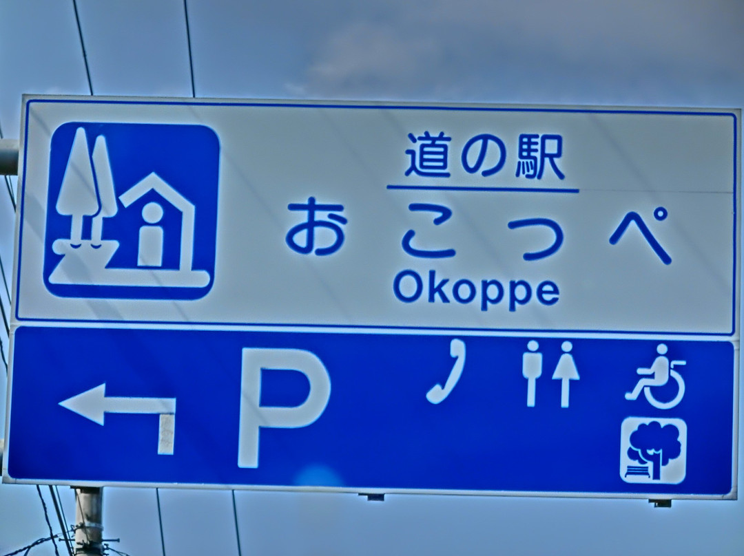 Michi-no-Eki Okoppe景点图片
