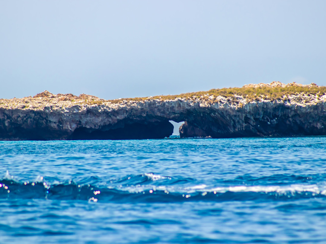 Carrillo Tours - Islas Marietas景点图片