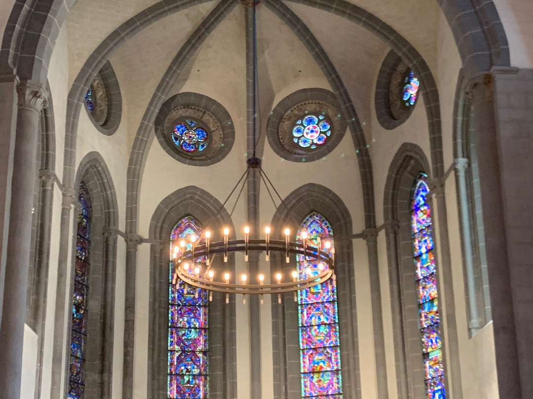 Basilique Saint-Francois de Sales景点图片