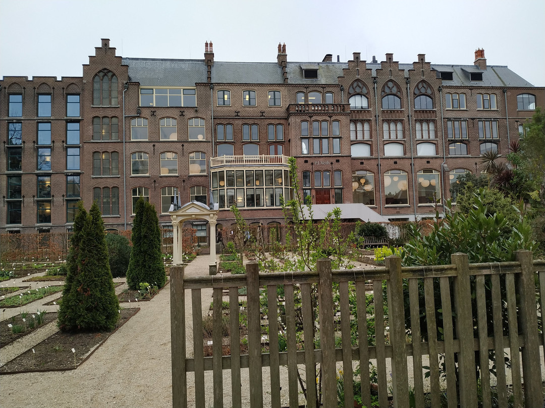 Leiden University Academic Building景点图片