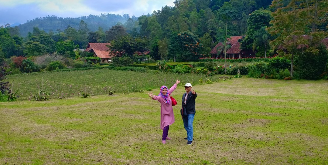 Kebun Mawar Garut景点图片
