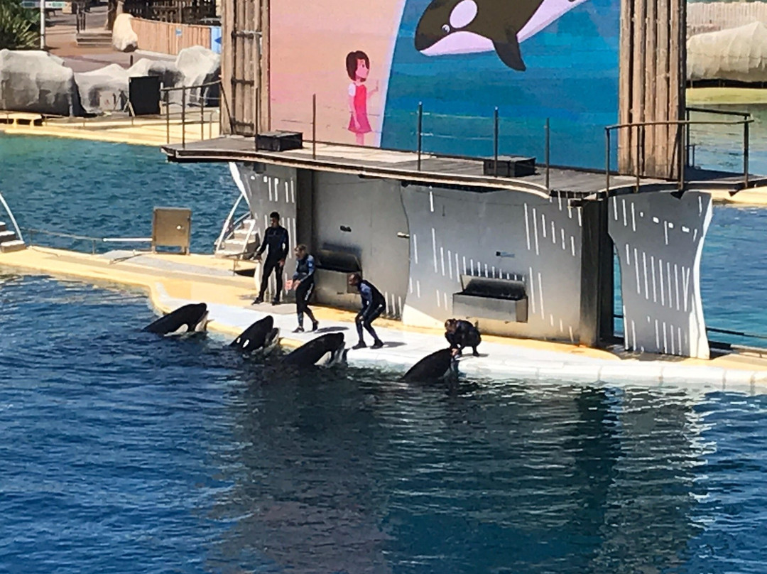 Marineland Lagoon景点图片