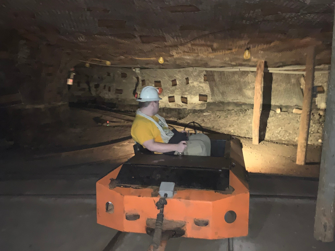 Portal 31-Lynch必去景点