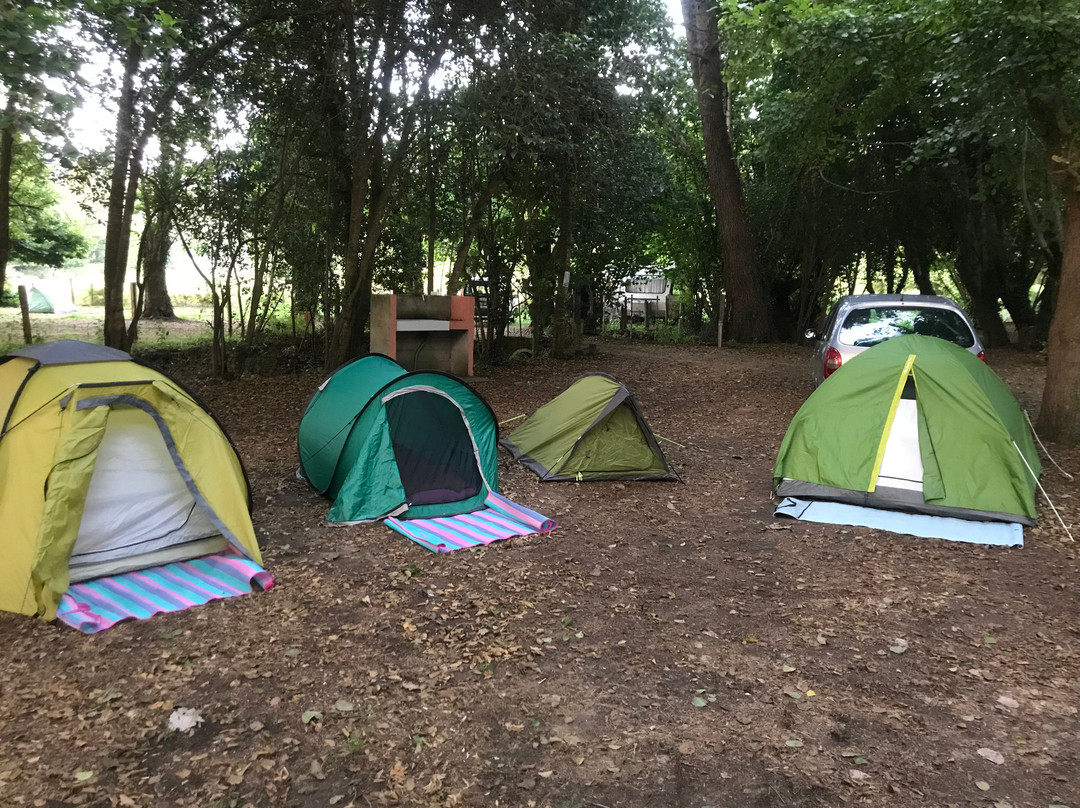 Camping La Liscia主图