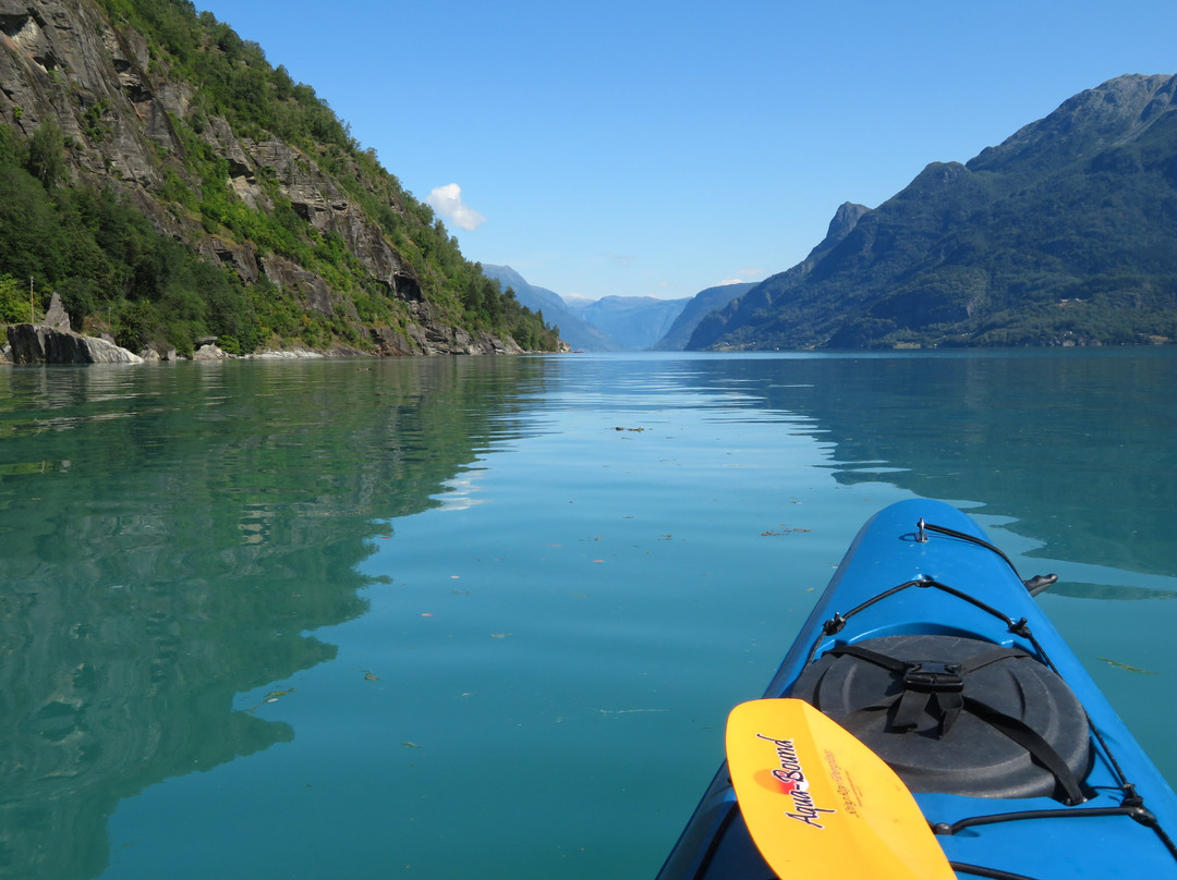 FjordSeal Kayak Day Tour景点图片