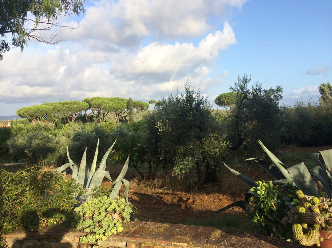 Agriturismo di Baratti