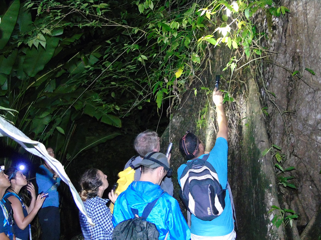 Nativos Corcovado Tours景点图片