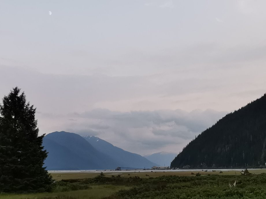 Estuary Boardwalk-Stewart必去景点