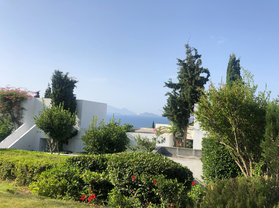 Robinson Daidalos主图