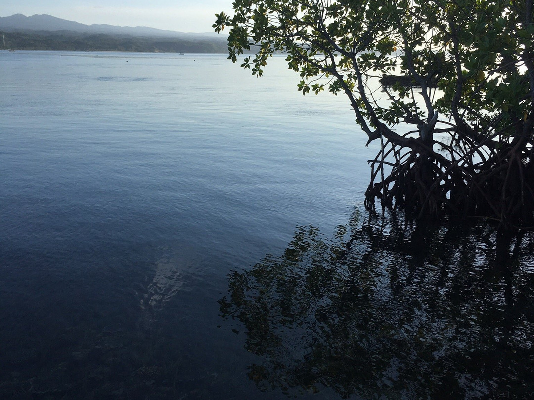 Tumbak Homestay主图