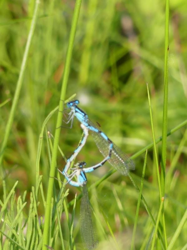 Lake Hood Harbor-安克雷奇必去景点