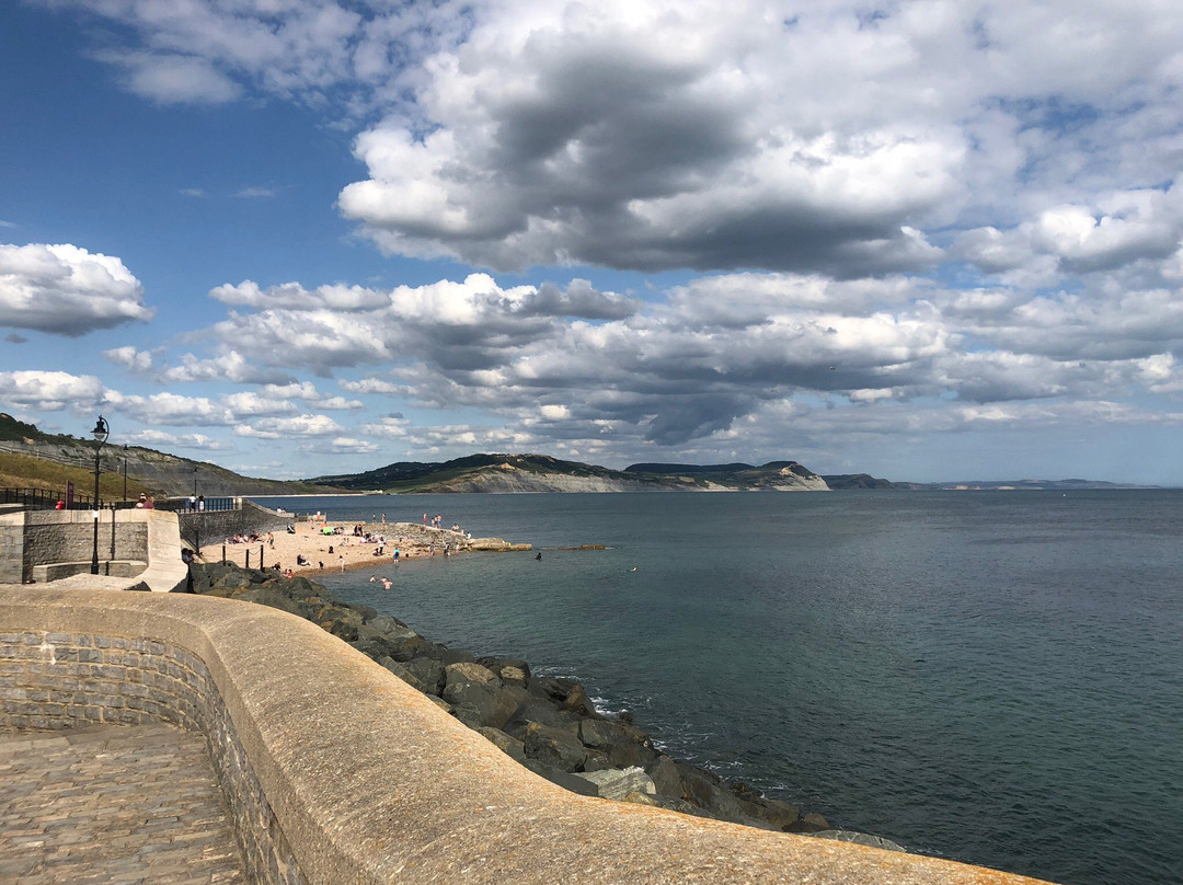 Lyme Regis Undercliff景点图片