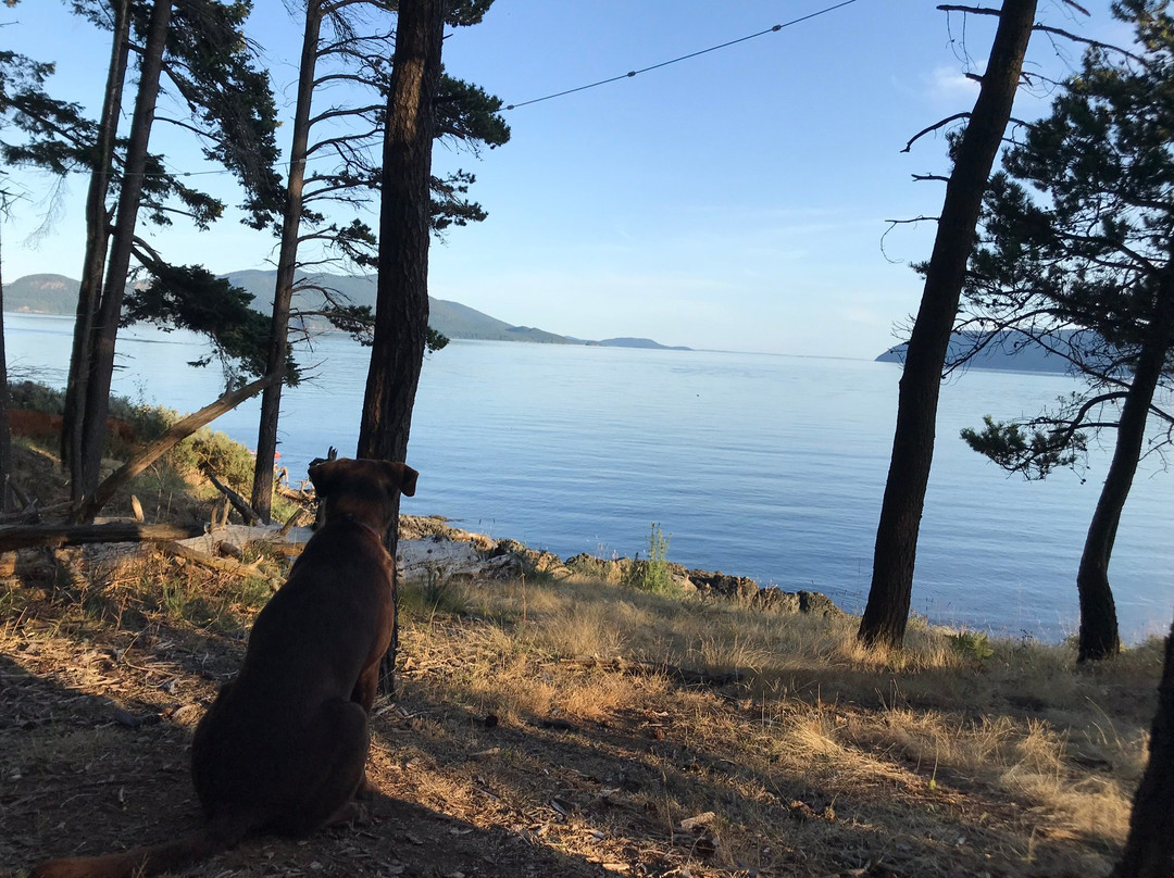 Doe Bay Resort & Retreat主图