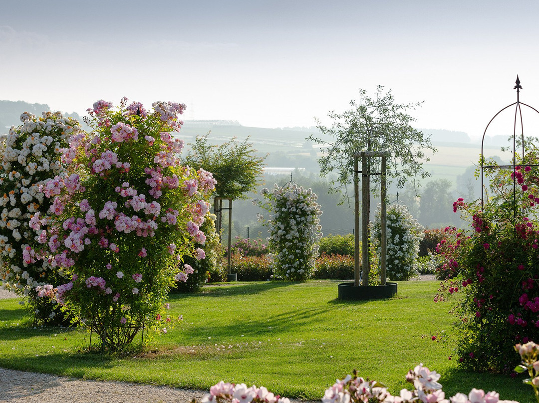 RosenPark Dräger-Bad Nauheim必去景点