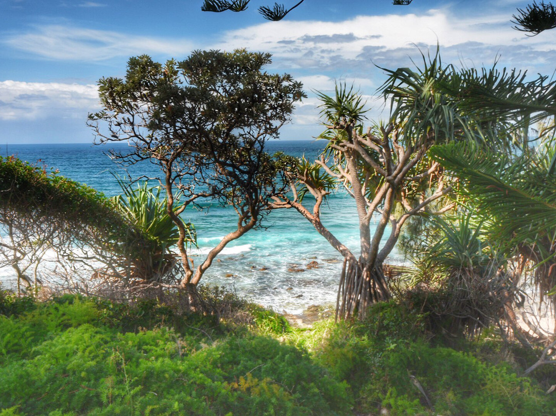 Moffat Beach景点图片