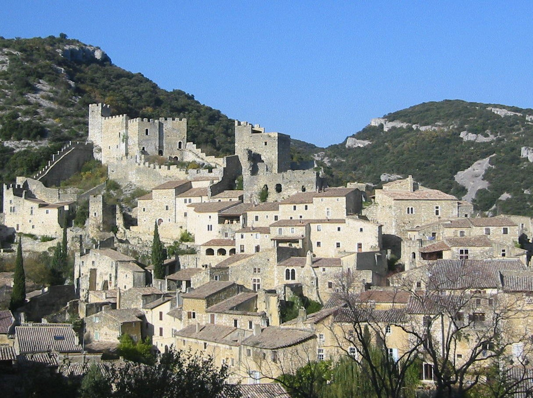 Château de Saint-Montan景点图片