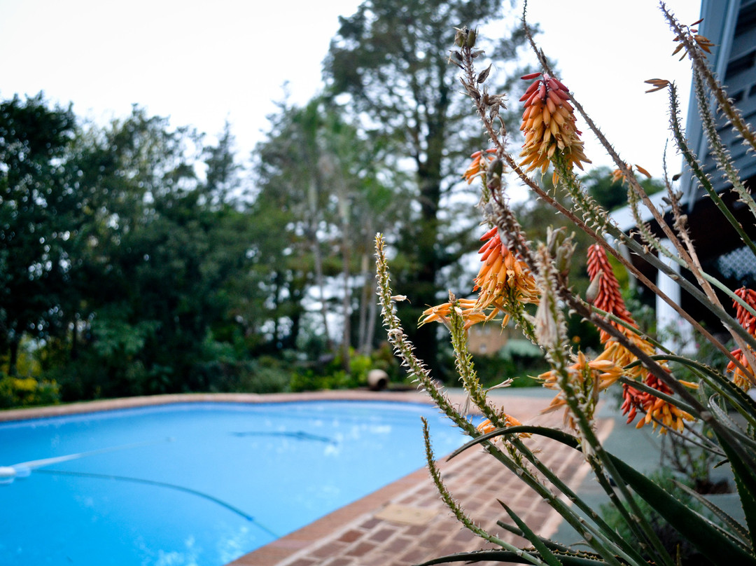 The Rawstornes@268主图