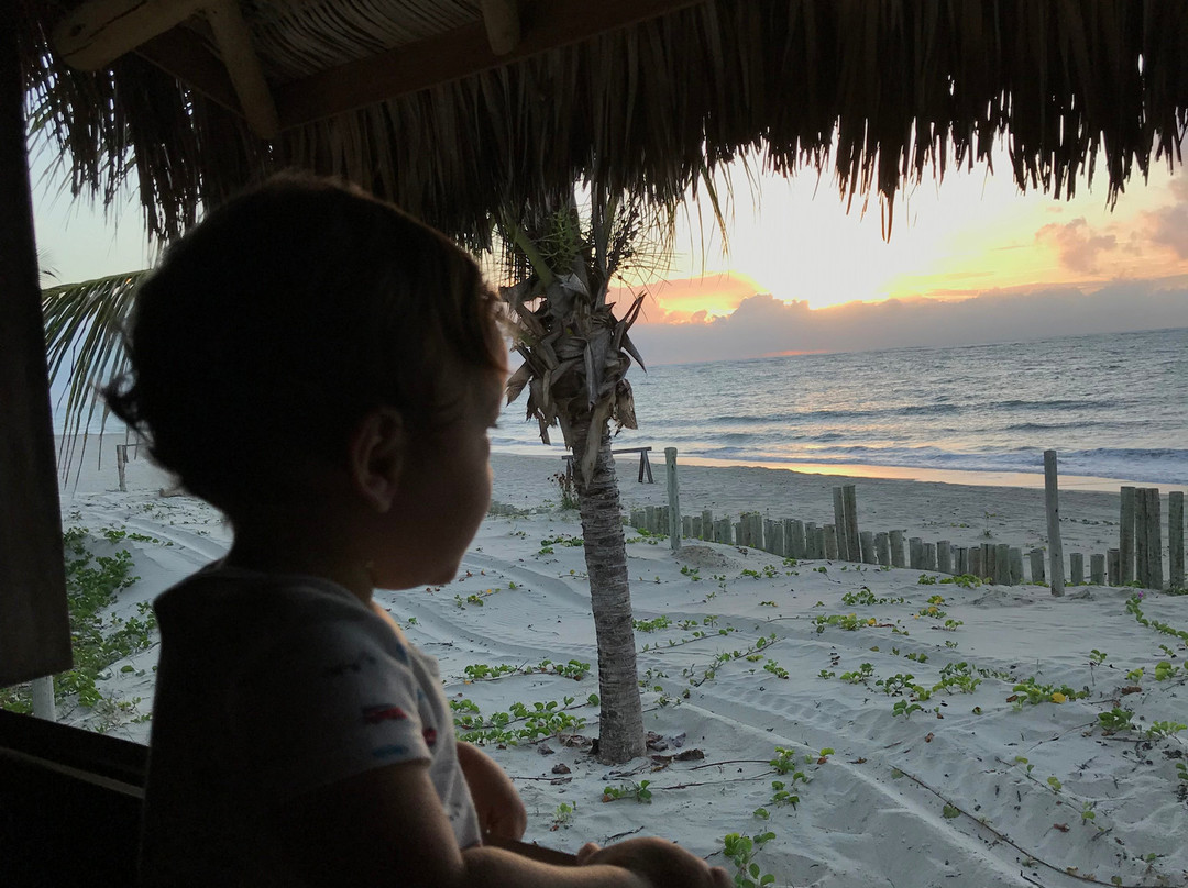 Jaguaribe Lodge & Kite主图