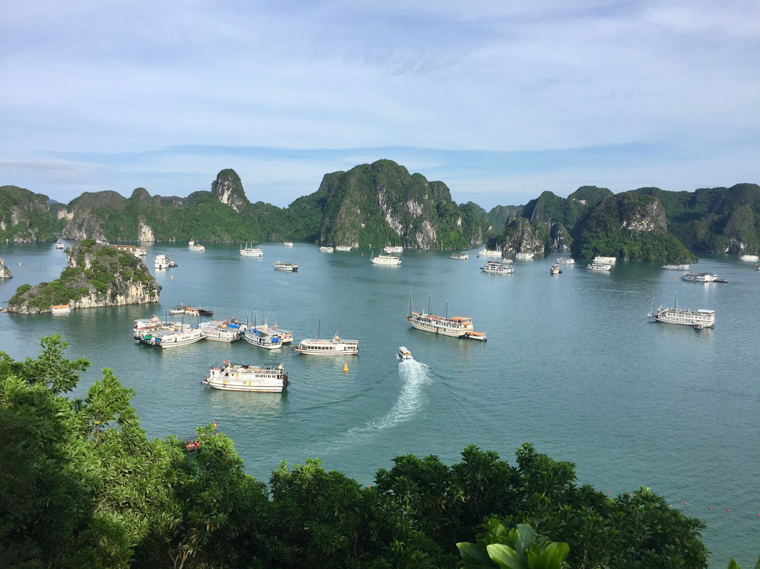 Halong Premium Cruise - Halong Bay Full Day景点图片